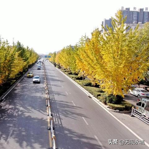 济南到永城火车相关长尾关键词有哪些