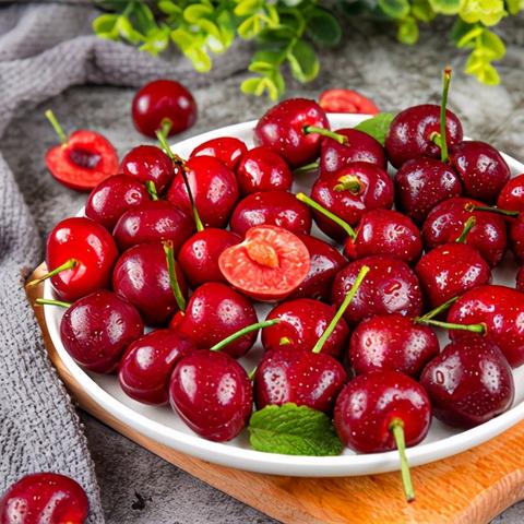 济南痘博士相关长尾关键词有哪些