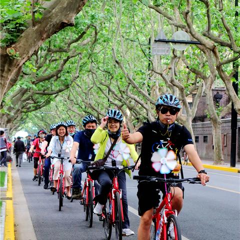 关于夜上海音乐相关关键词有哪些