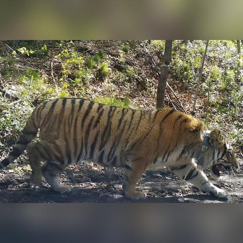 哈尔滨市能去哪里溜达呢