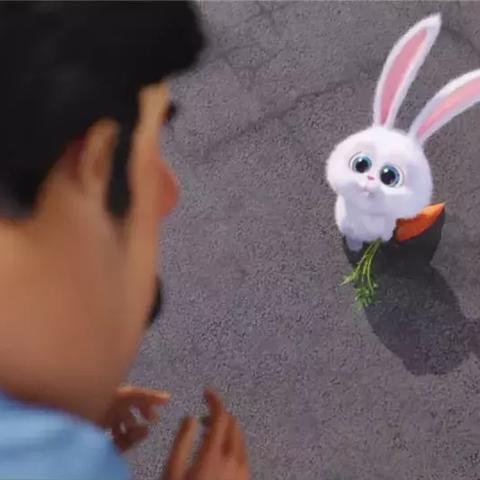 神偷兔子电影免费观看的长尾关键词有哪些