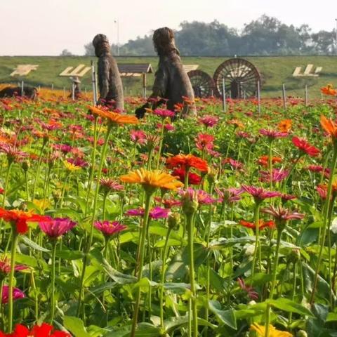 佛山市哪里值得去打卡的