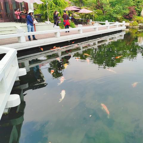 无锡市盛世家园小区的长尾关键词有什么