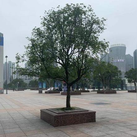 重庆北站和广州南哪个大？