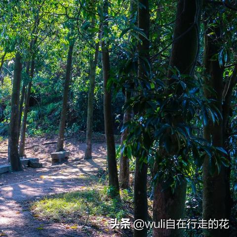 福州动车到桂林相关长尾关键词有哪些