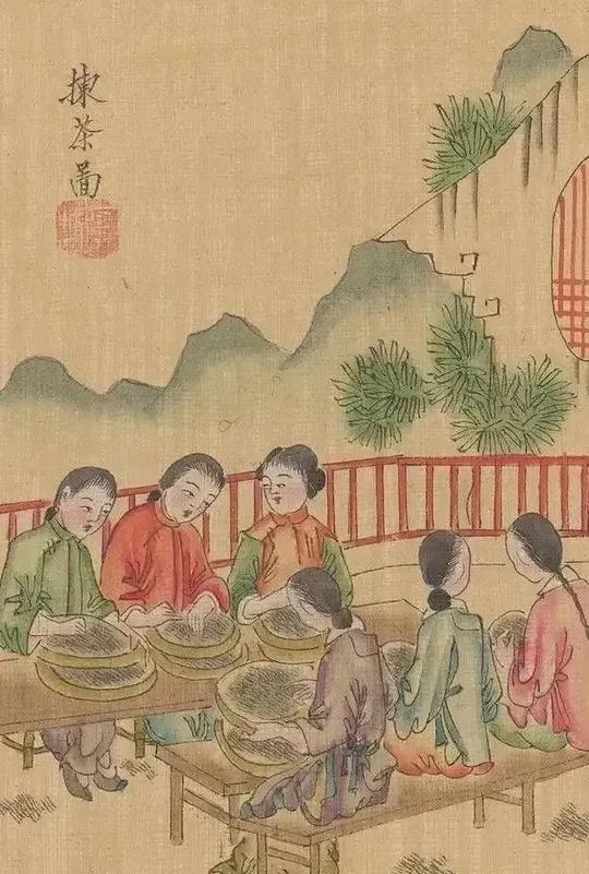 传统制茶工艺流程
