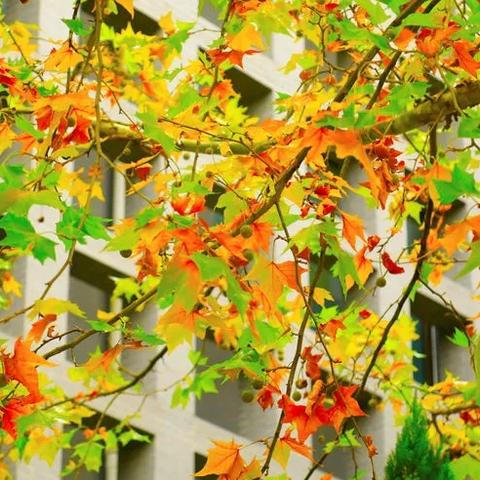 潍坊市科目一超分在哪里