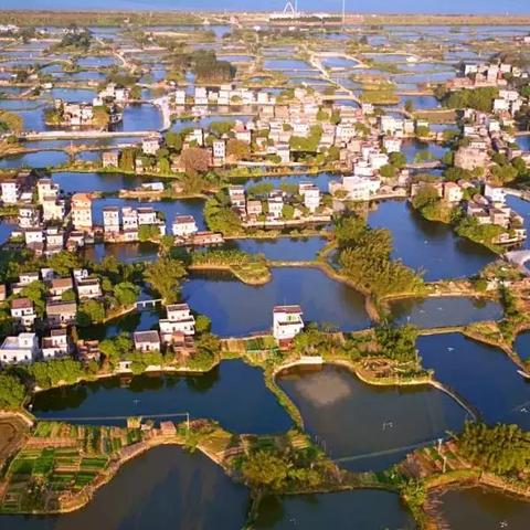 重庆金茂国际生态新城怎么样