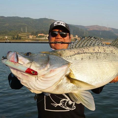 福建能用路亚钓什么鱼