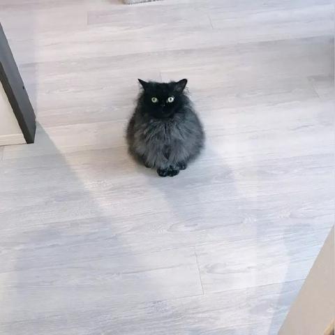 什么快递可以送往武汉市