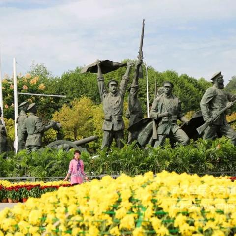 武汉菊展什么时间开始？