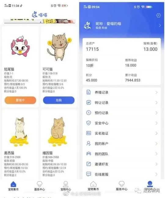 云养猫、云养牛、云种树……新概念“云诈骗”你知多少？