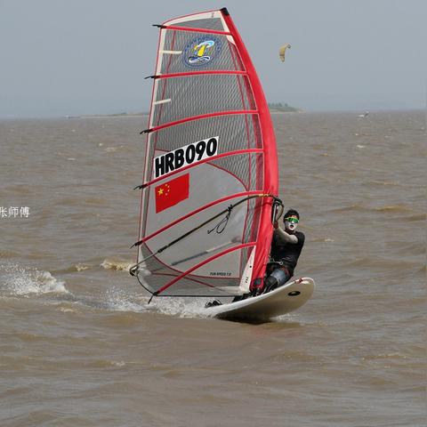 鸡西到哈尔滨有几点的火车，票价是多少？