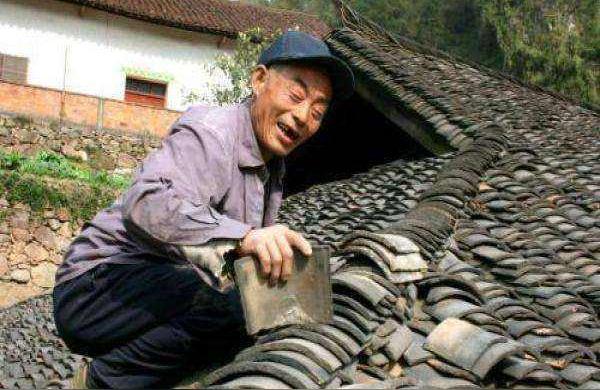 虎宝宝贤字辈怎么起名(王熙凤每日与平儿胡乱睡下)