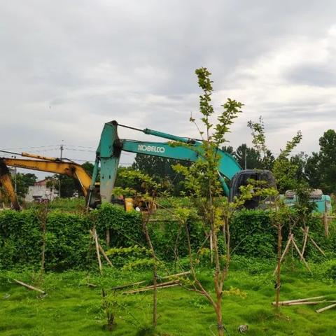 温州市宜山镇政府网首页的长尾关键词有什么