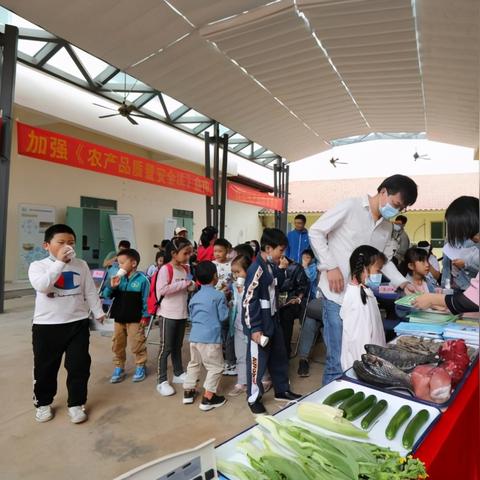 深圳市科普学校怎么样