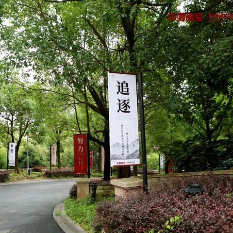 济南市华卿画室怎么样啊
