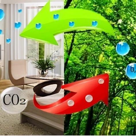 哈尔滨柜式新风相关长尾关键词有哪些