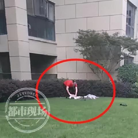 合肥市湾有什么好吃的