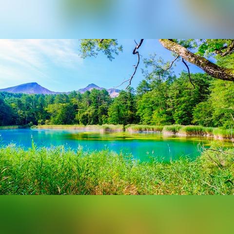 大连市春天小学怎么样啊