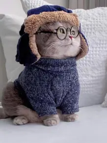 可爱小猫咪图片壁纸 头条搜索