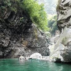 成都市游泳比赛有哪些