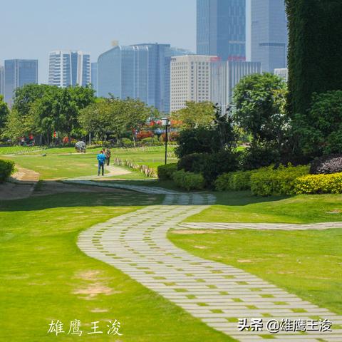 福建发展最快的城市？