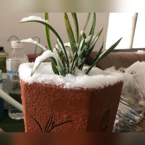 0度穿什么衣服啊