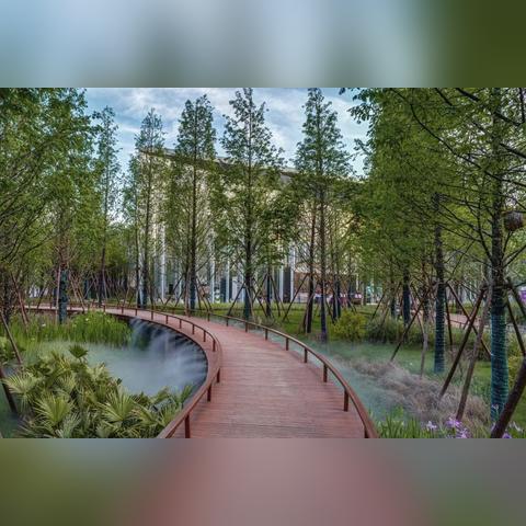 长沙盆景市场相关长尾关键词有哪些