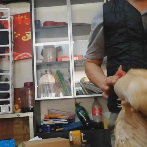 2021年广州深圳菜市场允许卖活鸡吗？