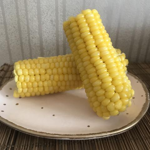 沈阳豆浆机相关长尾关键词有哪些