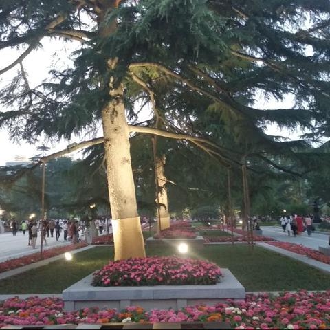 西安市兴庆公园什么时候开放？