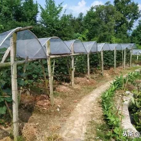桂林市耕地的相关长尾关键词有哪些