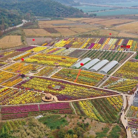 2015宁波菊花展的相关长尾关键词有哪些