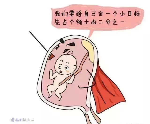 怀孕后孕妈肚子变大对内脏的影响有哪些