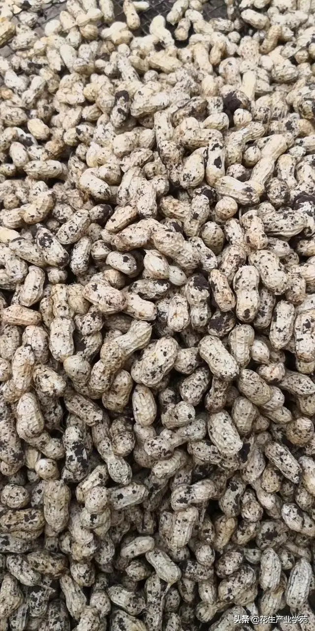 无货源上货怎么上 无货源上货技巧