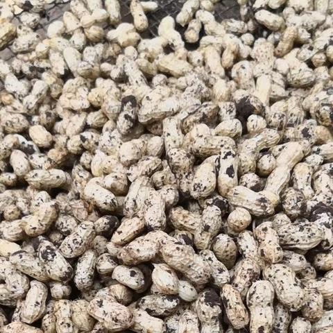 临沂市生物颗粒燃料的长尾关键词有什么