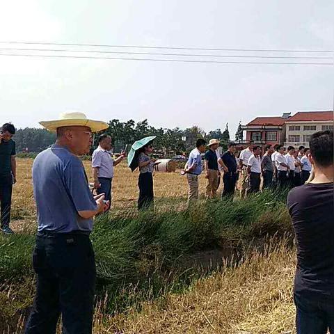危房鉴定标准详解-第1张图片-其人生活百科