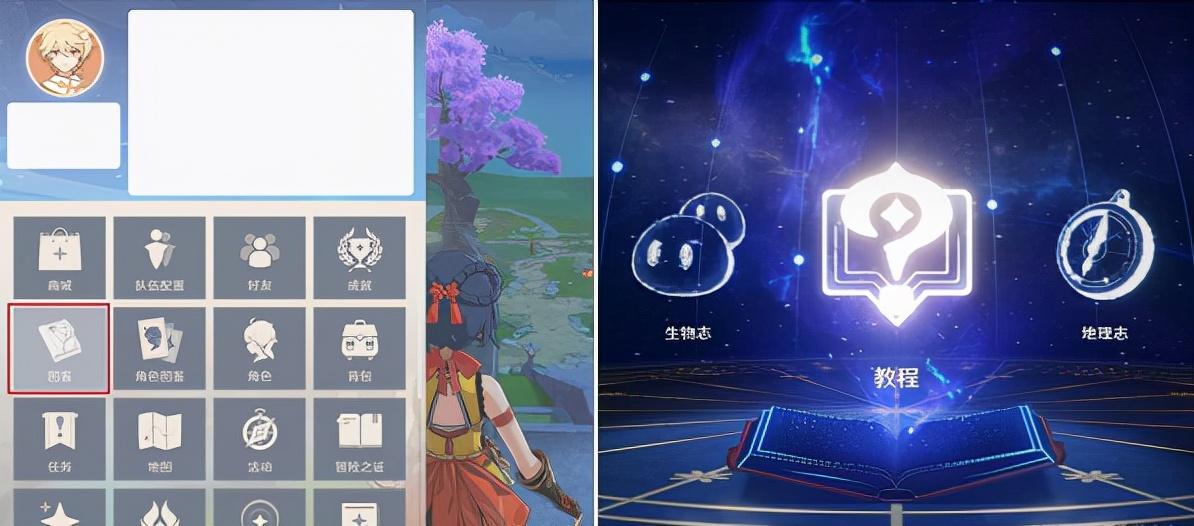 原神后面的跟随物怎么获得(原神须弥谱子怎么获得)