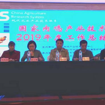 南宁市哪里有兽医站？