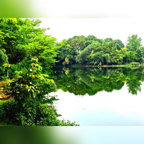 深圳罗湖区东湖公园好玩吗？