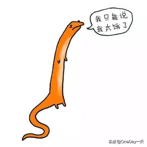 生长电影的长尾关键词有什么