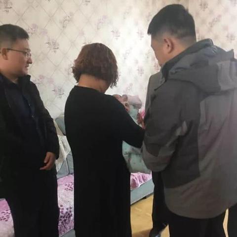 济南免费猫领养相关长尾关键词有哪些