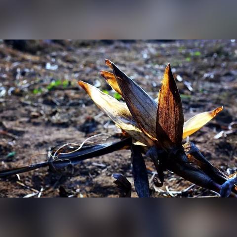 保定市回收花盆的长尾关键词有什么