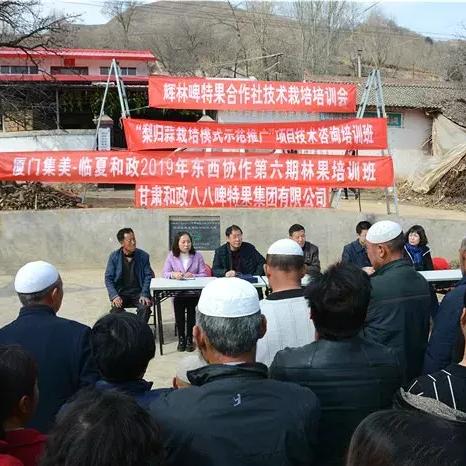 河南集美整形的相关长尾关键词有哪些