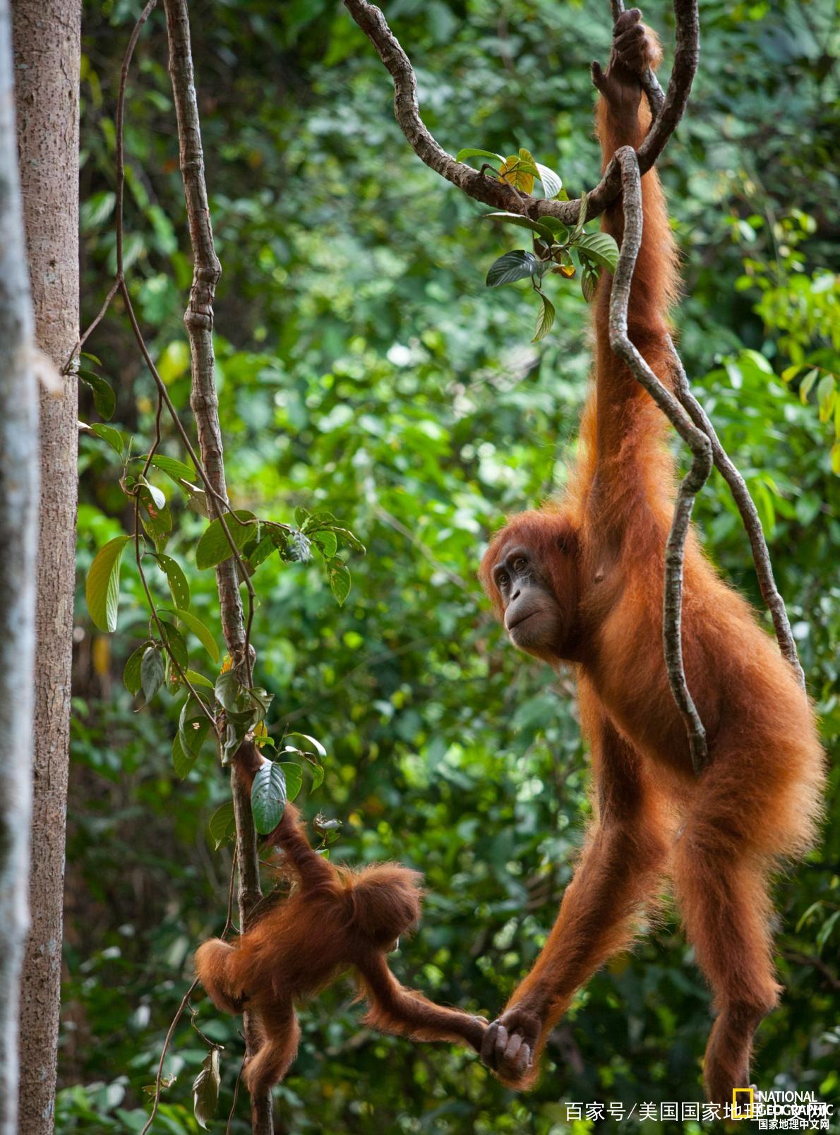 专家:二次感染新冠风险增加
(专家:二次感染新冠风险增加了吗)-图1 专家:二次感染新冠风险增加
(专家:二次感染新冠风险增加了吗)-图1
