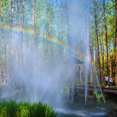 合肥市香樟大道是哪个区