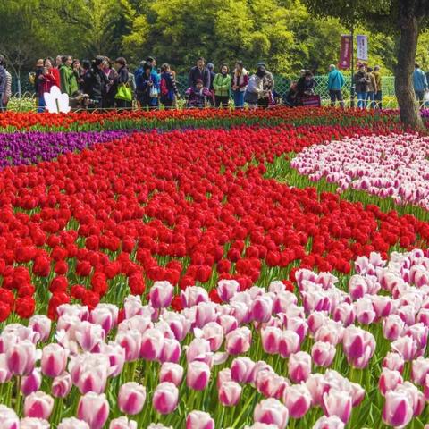 温州至恩施交通工具相关长尾关键词有哪些