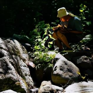 石家庄市夏令营哪个好