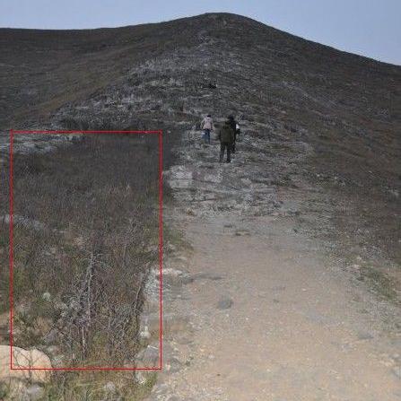 南宁天涯论坛的相关长尾关键词有哪些